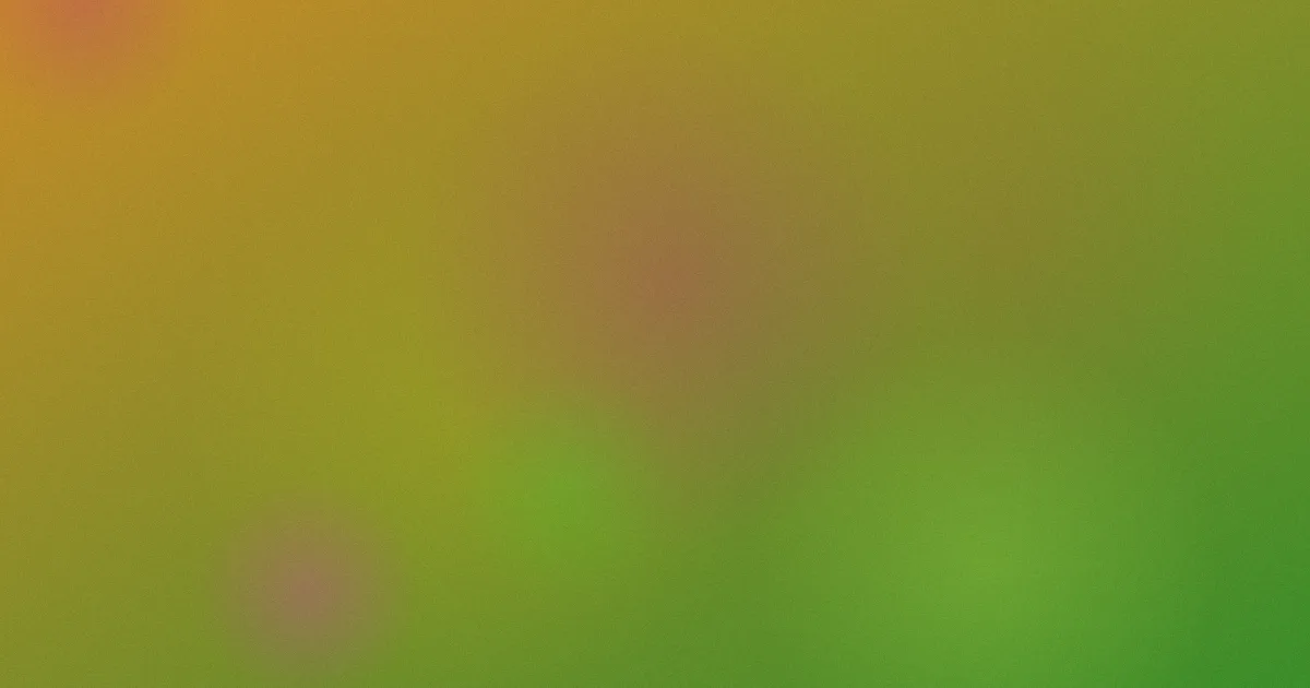 生生不息推荐：新手这样看